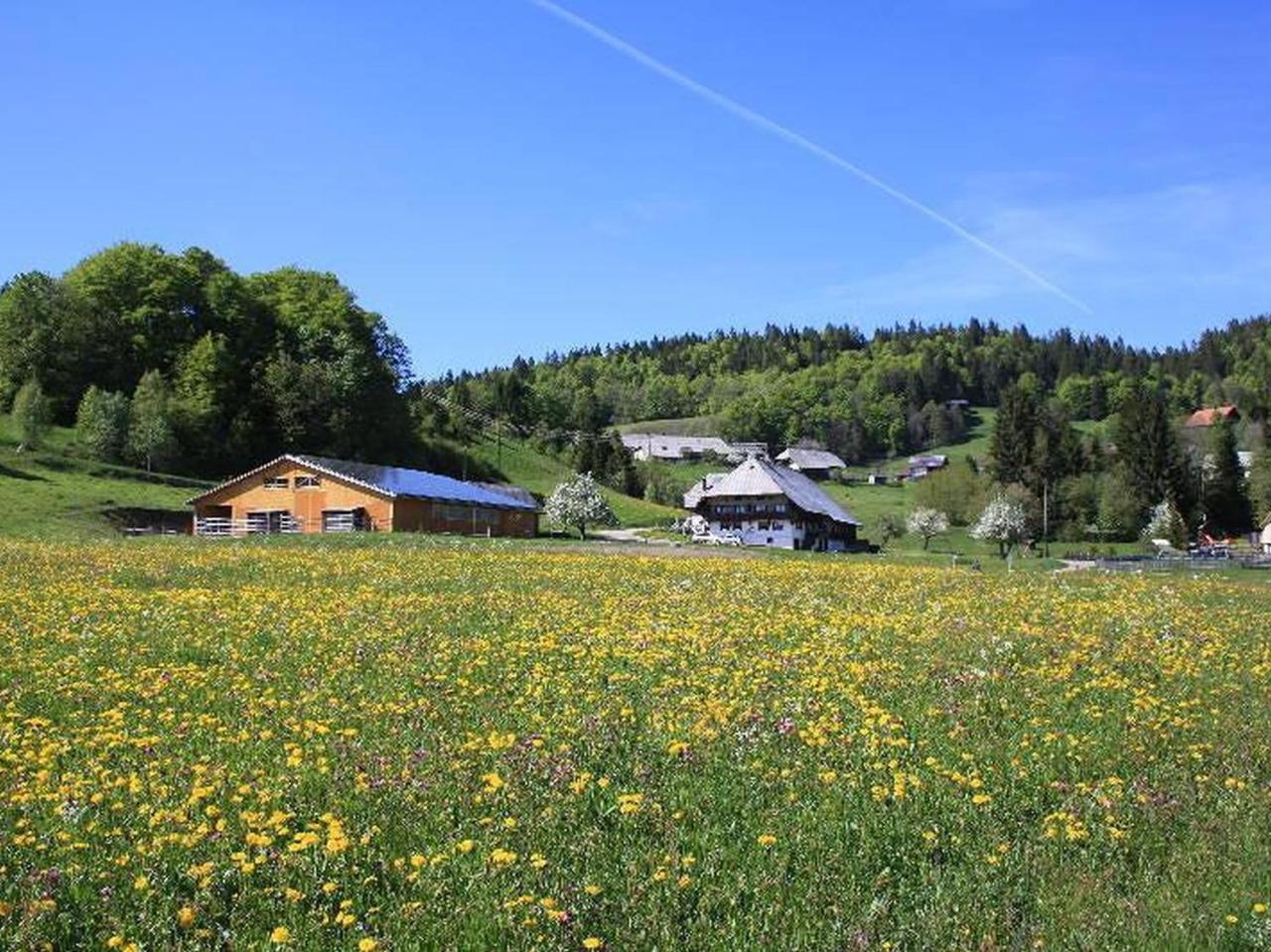 Buerschtehanse-hof Lejlighed *