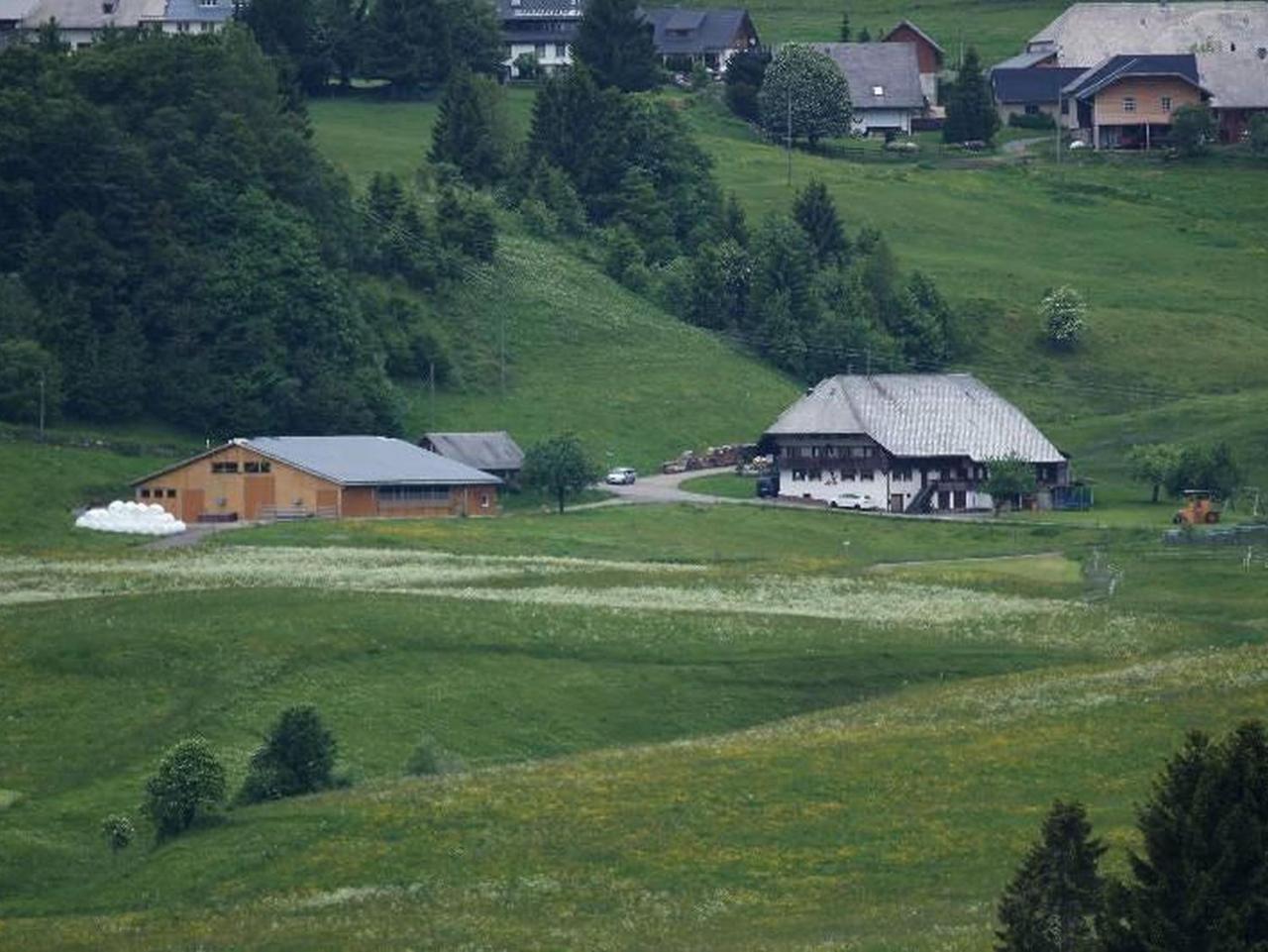 Buerschtehanse-hof *