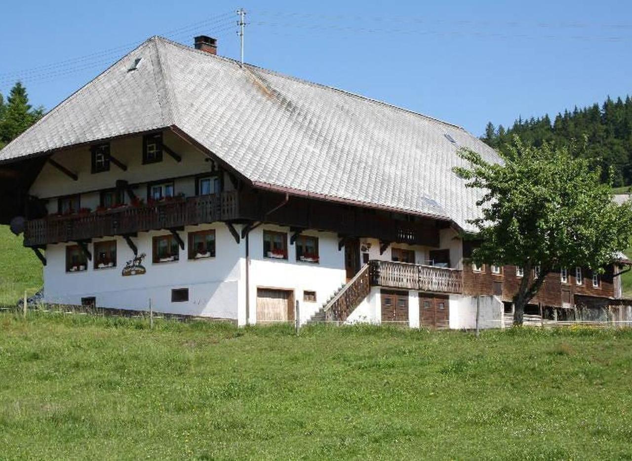 Apartment Buerschtehanse-hof Ibach